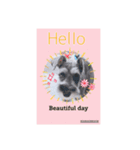 愛犬さらのスタンプです（個別スタンプ：2）