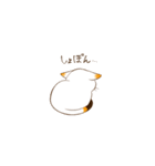 もちもちみけ（個別スタンプ：29）