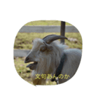 動物園に行こうよ（個別スタンプ：2）