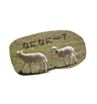 動物園に行こうよ（個別スタンプ：5）
