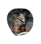動物園に行こうよ（個別スタンプ：7）