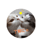 スコキャット2（個別スタンプ：6）