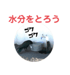 しっかりしたおなごと仲間達（個別スタンプ：14）