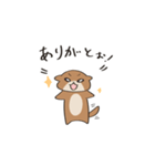 かわうそのほむちゃん（個別スタンプ：3）