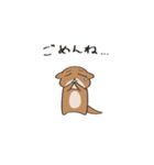 かわうそのほむちゃん（個別スタンプ：4）
