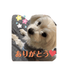 My Angel みるく♡（個別スタンプ：2）