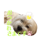 My Angel みるく♡（個別スタンプ：4）