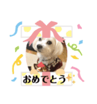 My Angel みるく♡（個別スタンプ：7）