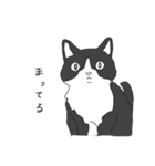 モノトーンな動物たち（個別スタンプ：40）
