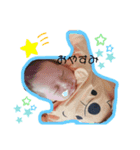 咲斗くんスタンプ（個別スタンプ：4）
