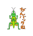 ひょっこりいきものがたり2（個別スタンプ：2）