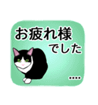 ハチワレ猫☆毎日使える♡あいさつ・返事（個別スタンプ：12）