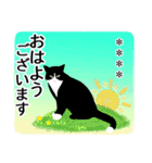 ハチワレ猫☆毎日使える♡あいさつ・返事（個別スタンプ：13）