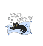 ふんわりとりと、黒猫ちゃんのスタンプ（個別スタンプ：16）