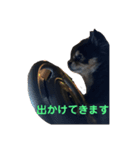 犬と馬 dog＆horse（個別スタンプ：5）