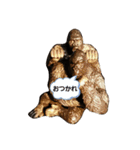 MI KUMASAN（個別スタンプ：5）