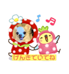 チワワのナナ（個別スタンプ：7）