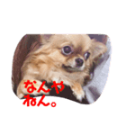 ぺこぺこの日常2（個別スタンプ：2）