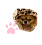 ぺこぺこの日常2（個別スタンプ：5）