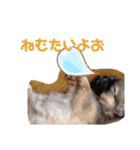 ぺこぺこの日常2（個別スタンプ：8）