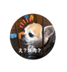 FR002（個別スタンプ：4）