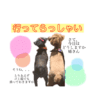 木内家の犬たち（個別スタンプ：3）