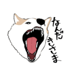 まめちゃ犬（個別スタンプ：1）