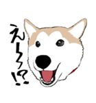 まめちゃ犬（個別スタンプ：2）