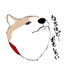 まめちゃ犬（個別スタンプ：3）