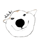 まめちゃ犬（個別スタンプ：4）