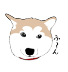 まめちゃ犬（個別スタンプ：5）