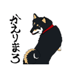 まめちゃ犬（個別スタンプ：7）