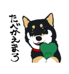 まめちゃ犬（個別スタンプ：10）