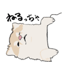 まめちゃ犬（個別スタンプ：12）