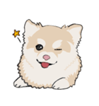 まめちゃ犬（個別スタンプ：13）