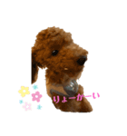 ゆうこむぎ（個別スタンプ：6）