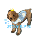 ゆうこむぎ（個別スタンプ：8）