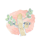 koala and good things（個別スタンプ：40）