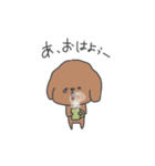 人間みたいなトイプードル(いろいろ)（個別スタンプ：1）