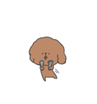 人間みたいなトイプードル(いろいろ)（個別スタンプ：2）