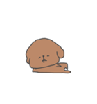 人間みたいなトイプードル(いろいろ)（個別スタンプ：5）