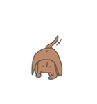 人間みたいなトイプードル(いろいろ)（個別スタンプ：34）