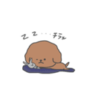 人間みたいなトイプードル(いろいろ)（個別スタンプ：36）