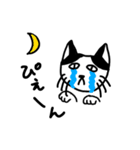 トムにゃんこという猫。（個別スタンプ：7）