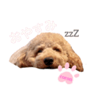 coronmalu♡（個別スタンプ：1）