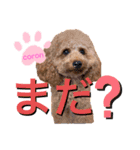 coronmalu♡（個別スタンプ：2）