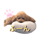 coronmalu♡（個別スタンプ：4）