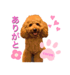 coronmalu♡（個別スタンプ：5）
