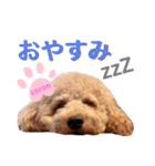 coronmalu♡（個別スタンプ：9）
