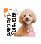 coronmalu♡（個別スタンプ：10）